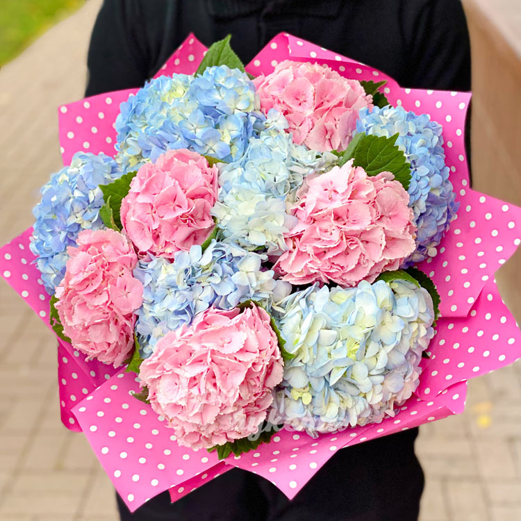 Букет из 11 гортензий (вид сверху)