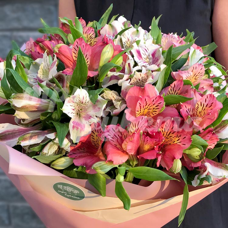 Букет из 23 альстромерий (крупный план)