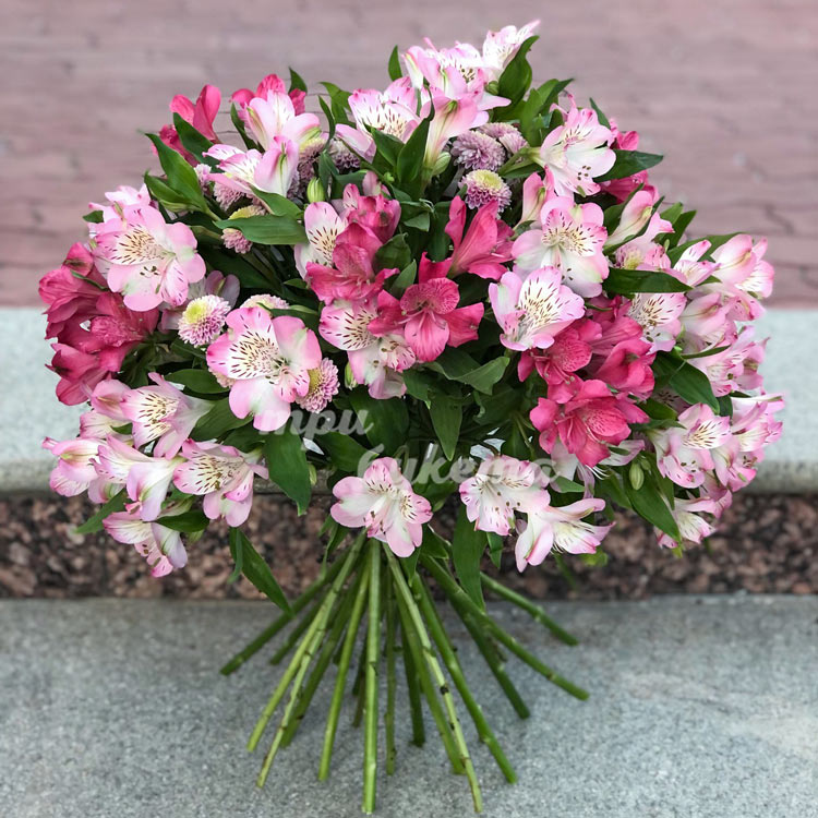 Букет из 23 альстромерий (доп. фото)