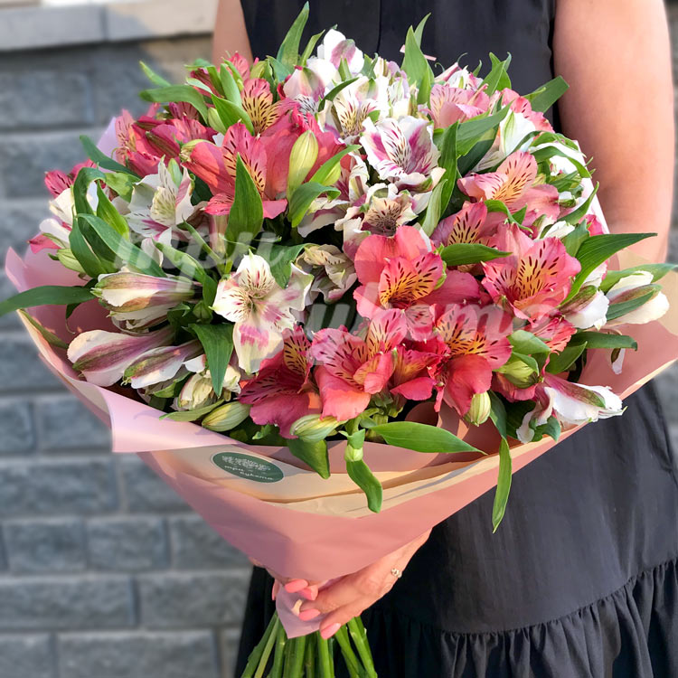 Букет из 23 альстромерий