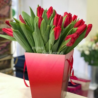 25 тюльпанов в коробке 25 тюльпанов в коробке