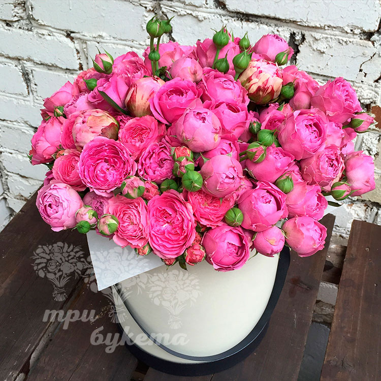 Купить букет из пионовидных роз в шляпной коробке недорого в Липецке