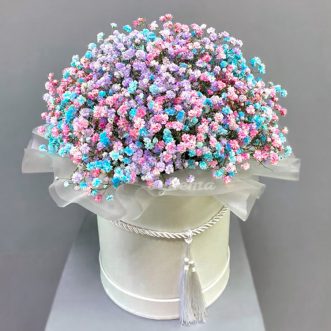 5 разноцветных гипсофил в коробке