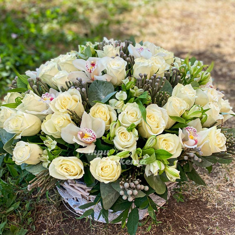 Корзина белых роз и орхидей с брунией (крупный план)